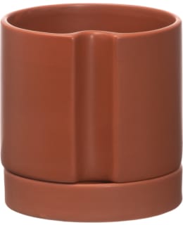 4LIVING ALTAKASTELURUUKKU PLANT 15 CM TE Main Image