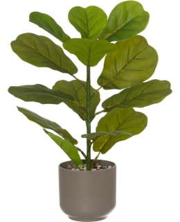 4LIVING LYYRAFIIKUS RUUKUSSA 46 CM Main Image