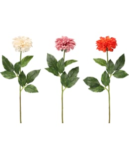 4LIVING DAALIA 1 KUKKA 57 CM LAJITELMA Main Image