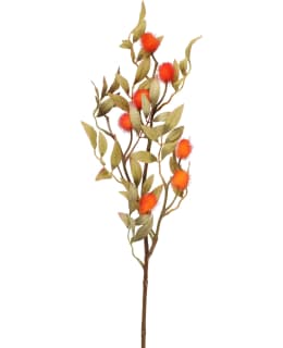 4LIVING 75CM SYYSOKSA ORANSSIT PALLOT Main Image
