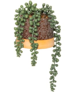 4LIVING HELMIVILLAKKO RUUKUSSA Main Image