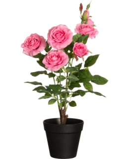 4LIVING RUUSU RUUKUSSA VPUN Main Image