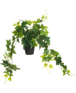 4LIVING 80CM ISOLEHT. MURATTI RUUKUSSA Main Image