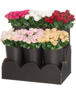 4LIVING RUUSU 47CM LAJIT. Main Image