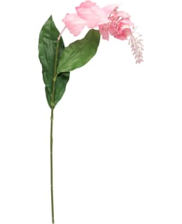 4LIVING 88 CM MEDINILLA Main Image