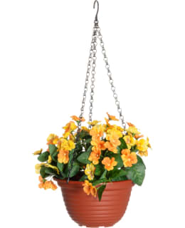 4LIVING ORVOKKI AMPPELISSA 22CM KELT Main Image