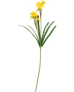 4LIVING KELTAINEN 58CM MININARSISSI Main Image