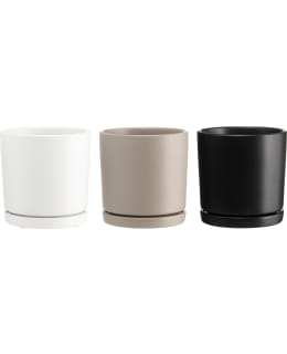 4LIVING TAPIOLA 15CM RUUKKU LAUTASELLA Main Image