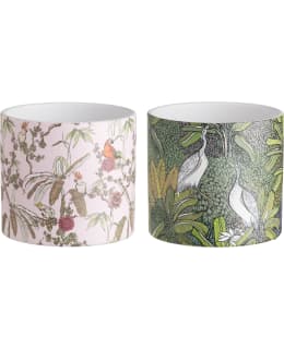 4LIVING RUUKKU NATURE 13,5 CM LAJITELMA Main Image