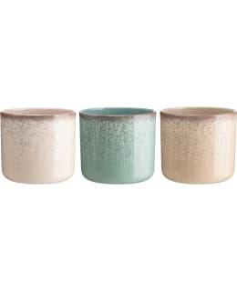 4LIVING OCEANA 17 CM RUUKKU LAJITELMA Main Image