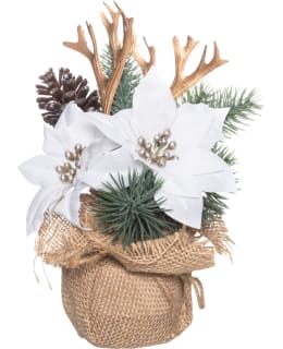 4LIVING JOULUTÄHTIASETELMA PUSSISSA VALK Main Image