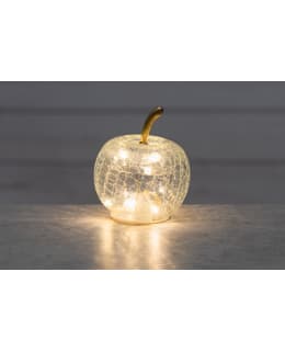 FINNLUMOR 7,5CM KIRKAS LED-OMENA Main Image