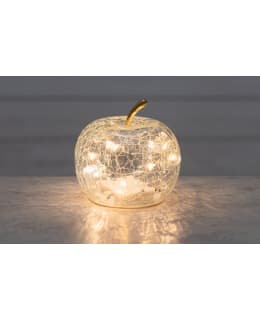 FINNLUMOR 10CM KIRKAS LED-OMENA Main Image