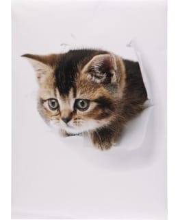 4LIVING 648288 KISSA 50X70CM STICKER Main Image