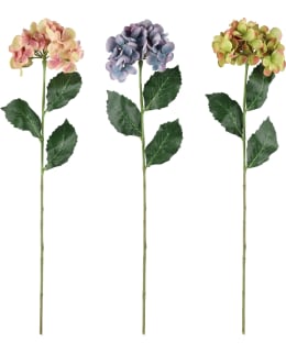 4LIVING 60 CM HORTENSIA OKSA LAJITELMA Main Image