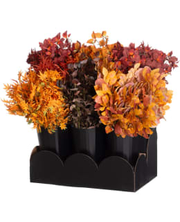 4LIVING SYYSOKSA LAJITELMA Main Image