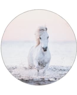 4LIVING 649321 PONY 133 CM MATTO Main Image