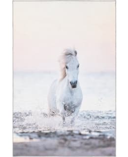4LIVING 649343 PONY 120X180 MATTO Main Image