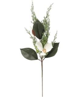 WINTERIA MAGNOLIA SPRAY 60 CM Main Image