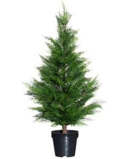 4LIVING CYPRESS 90 CM Main Image