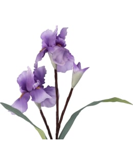 4LIVING 74CM IIRIS OKSA Main Image