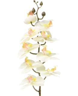 4LIVING 73CM PERHOSKÄMMEKKÄ OKSA VALK. Main Image