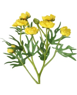 4LIVING 50CM KULLERO TEKOKASVI Main Image