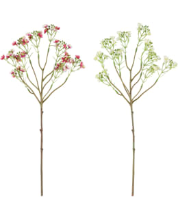 4LIVING 52CM VAHAKUKKA LAJITELMA Main Image