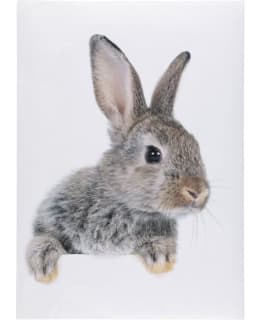 4LIVING 653362 PUPU 50X70CM TARRA Main Image