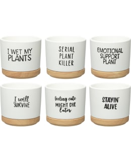 4LIVING QUOTES 12CM RUUKKU ALUSLAUT. Main Image