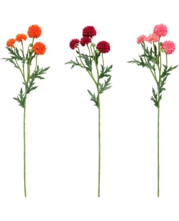 4LIVING PALLOKRYSANTEEMI 61CM LAJITELMA Main Image