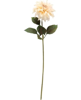 4LIVING DAALIA 74CM ISOKUKKAINEN KERMA Main Image