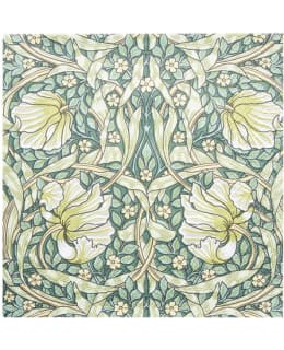 WM PIMPERNEL VIHREÄ 24CM LAUTASLIINA Main Image