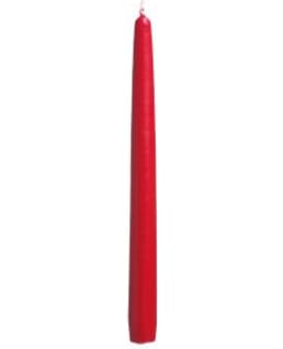 HAVI 20 KPL 28 CM PUN ANTIIKKIKYNTTILÄ Main Image