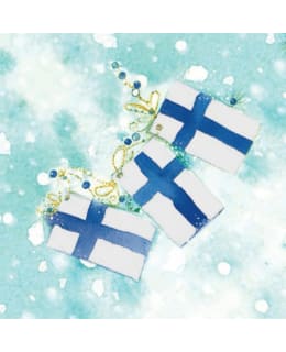 LIPPU 24X24CM LAUTASLIINA Main Image