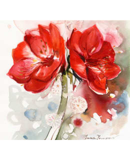 HAVI AMARYLLIS 20KPL 33CM LAUTASLIINA Main Image