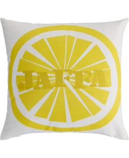 VALLILA SITRUS 43X43 2100 CUSHION COVER Main Image