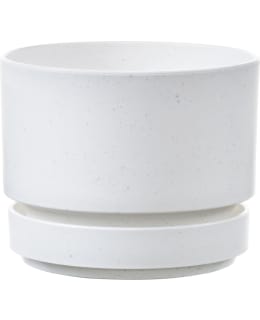 ORTHEX PAMELA-RUUKKU  170MM Main Image