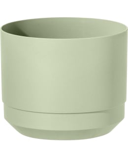 ORTHEX PAULINA 14 CM VIHREÄ RUUKKU Main Image