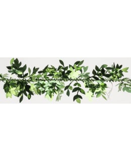 WEISTE 6020 ANTIIK.VIH KAPEA LEHTIPUNOS Main Image