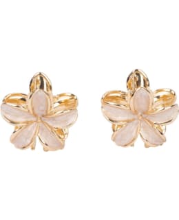 IBERO 51872 HAWAII GOLD 2PCS HAIR CLIP Main Image