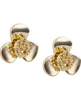 IBERO 55737 KORVAKORUT Main Image