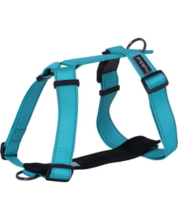 RUKKA PETS FORM L TURKOOSI VALJAAT Main Image