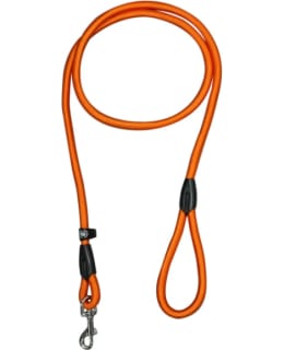 ICEPEAK PET WINNER COL S ORANSSI TALUTIN Main Image