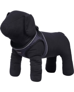 ICEPEAK PROZONE MINI M MUSTA VALJAAT Main Image