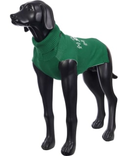 ICEPEAK PET JOLLY S GREEN KNITWEAR Main Image
