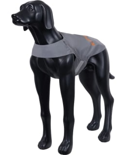 ICEPEAK PET BRIGHTLY L HUOMIOLIIVI Main Image