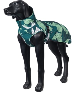 ICEPEAK PET NORTHLANDER L EMERALD TAKKI Main Image