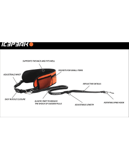 ICEPEAK TOUR ORANGE BELT + LEASH Main Image