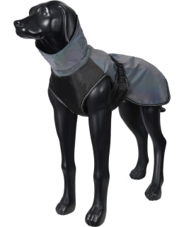ICEPEAK PET GLOW L RAINBOW REFLECT COAT Main Image